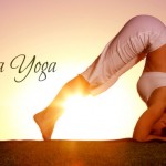 Các thể loại Yoga phổ biến hiện nay