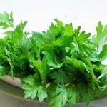 Những bài thuốc hay với ngải cứu