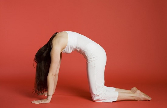 Yoga cho người bị đau dây thần kinh toạ