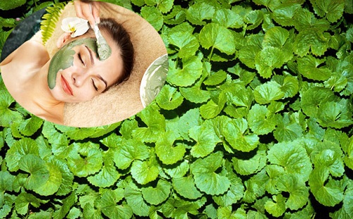 Trị làn da bị mụn hiệu quả-1 Trị làn da bị mụn hiệu quả
