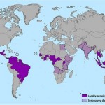 Những điều cần biết về virus Zika