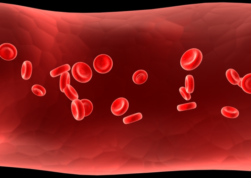 Thiếu máu và cách phòng ngừa 1